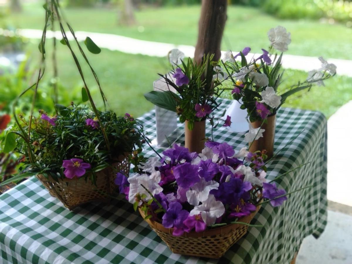 Hotel Khaosok Boutique Hideaway Phanom Esterno foto